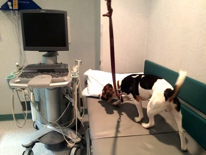 NYC Bed Bug Inspections Picture 7