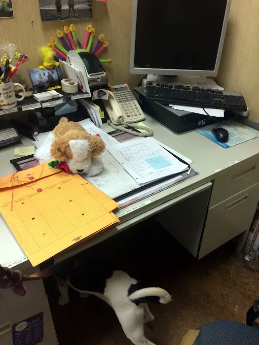 NYC Bed Bug Inspections Picture 1