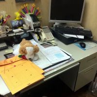 NYC Bed Bug Inspections ico