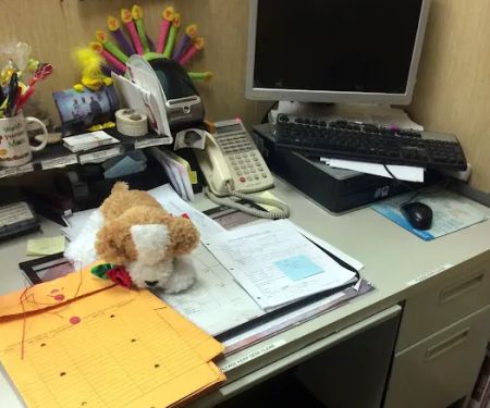 NYC Bed Bug Inspections