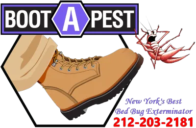 Boot A Pest Picture 1