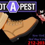 Boot A Pest