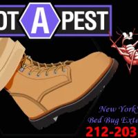 Boot A Pest ico