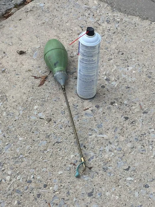 Ecowise Pest Control NYC Picture 7