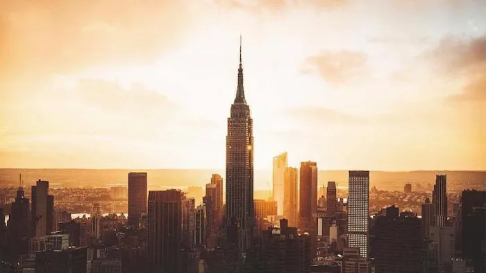 Ecowise Pest Control NYC Picture 3