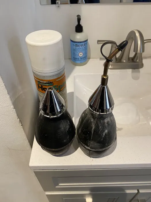 Ecowise Pest Control NYC Picture 4