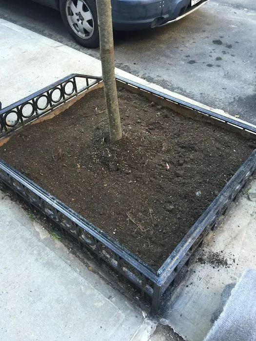 Acme Exterminating Corp. Picture 6