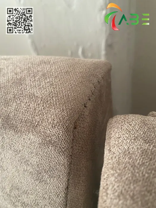 Ace Bedbug Exterminating NYC Picture 7