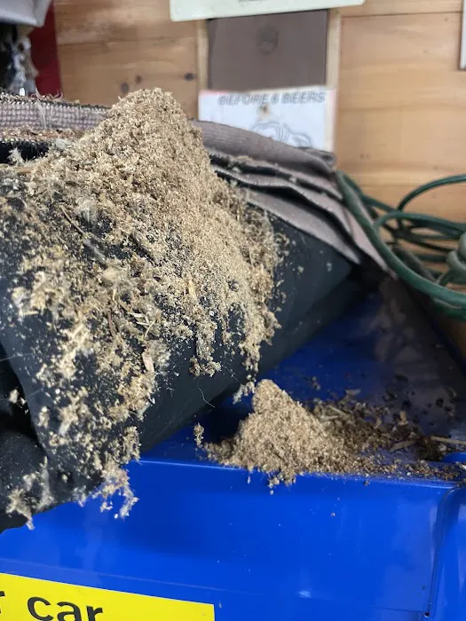 Biotech Termite & Pest Control - Commercial & Residential Exterminators Picture 7