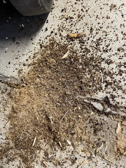 Biotech Termite & Pest Control - Commercial & Residential Exterminators Picture 8