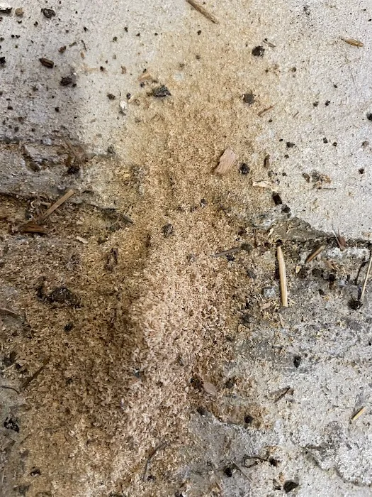 Biotech Termite & Pest Control - Commercial & Residential Exterminators Picture 10