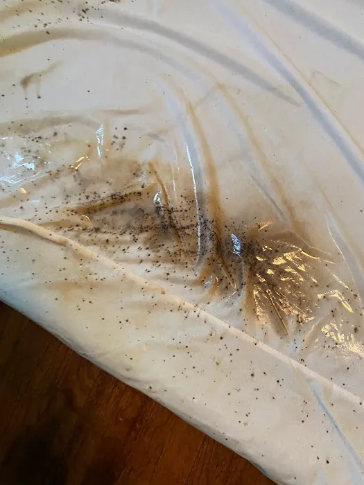 Biotech Termite & Pest Control - Commercial & Residential Exterminators Picture 1