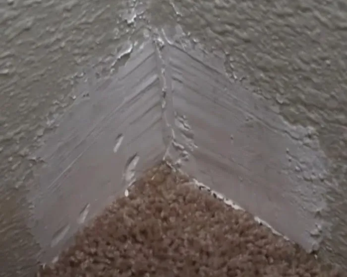 Biotech Termite & Pest Control - Commercial & Residential Exterminators Picture 5