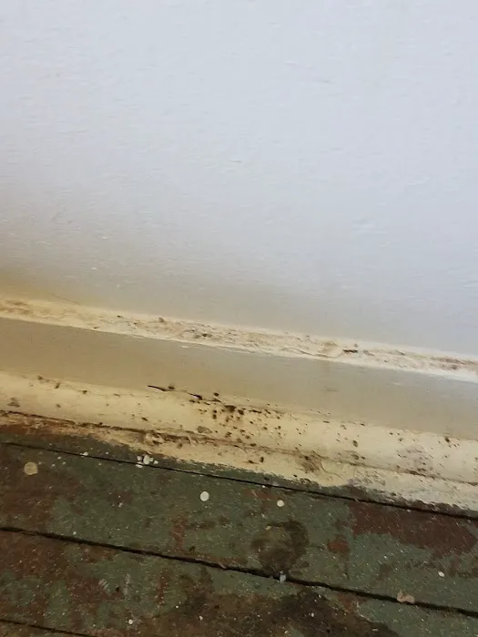 Organic Pest Control Picture 1