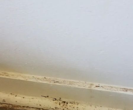Organic Pest Control