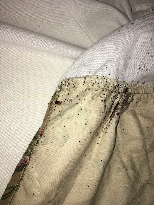 Organic Pest Control Picture 6