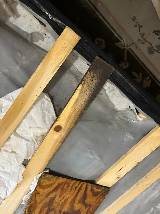 Speedy BedBug Removal Picture 5