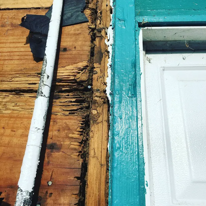 Pest by MD Picture 9