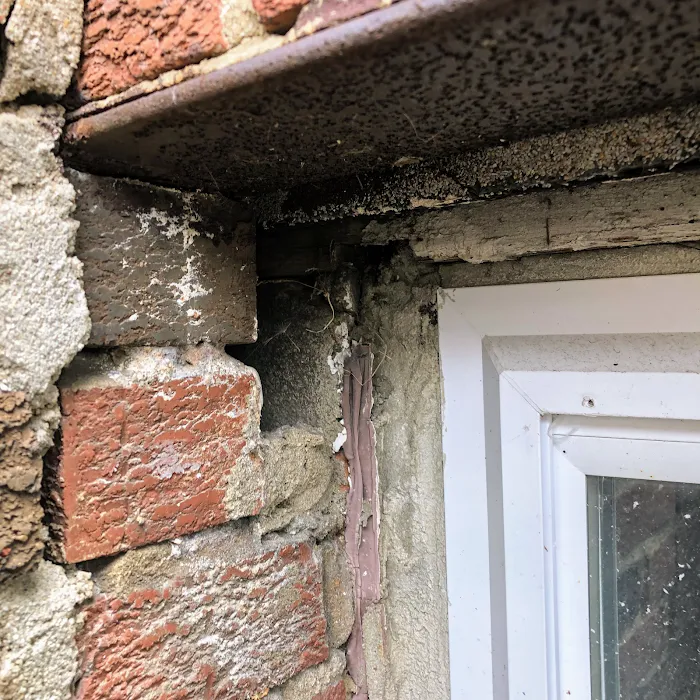 Pest by MD Picture 5