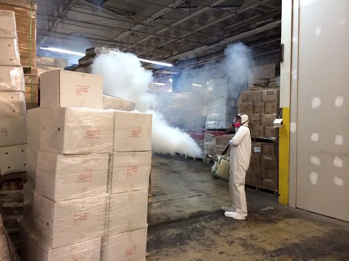 Pest by MD Picture 2