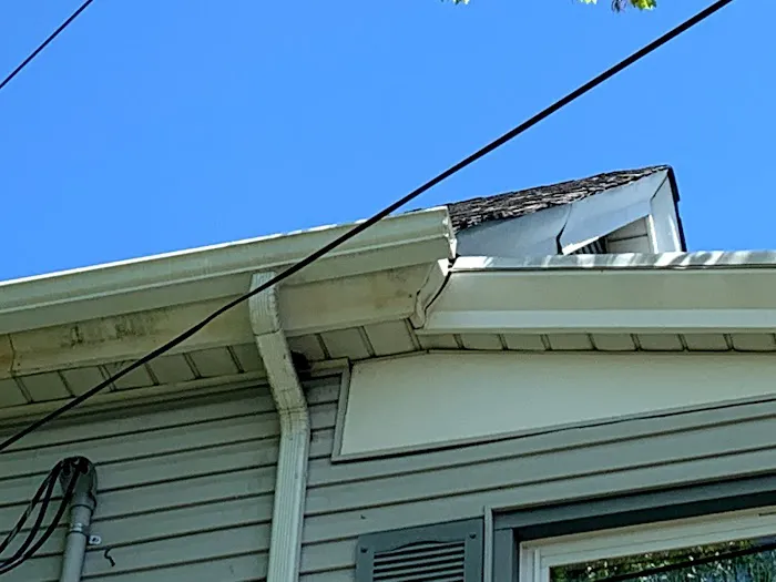 Pros In Control Pest Services Picture 2