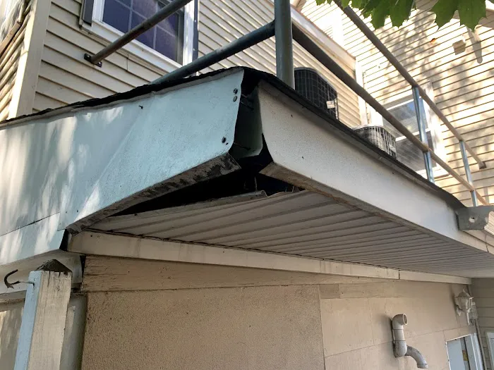 Pros In Control Pest Services Picture 6