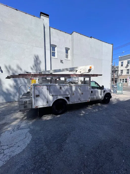 Professional Termite & Pest Control Picture 8