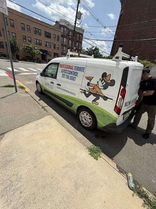 Professional Termite & Pest Control Picture 3