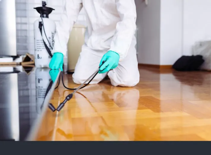 Eco Pest Control Jersey City Co. Picture 7