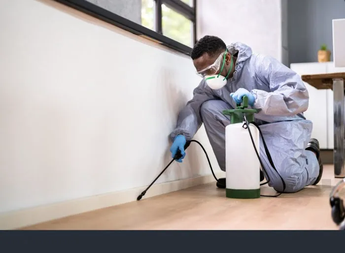 Eco Pest Control Jersey City Co. Picture 3