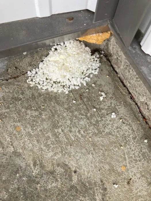 Get'm Pest Control & Exterminator In Jersey City Picture 6