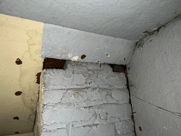 Get'm Pest Control & Exterminator In Jersey City Picture 9