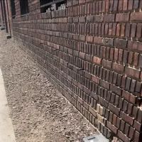 Rat Exterminator Corporation ico