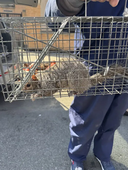 A-List Exterminator Picture 9