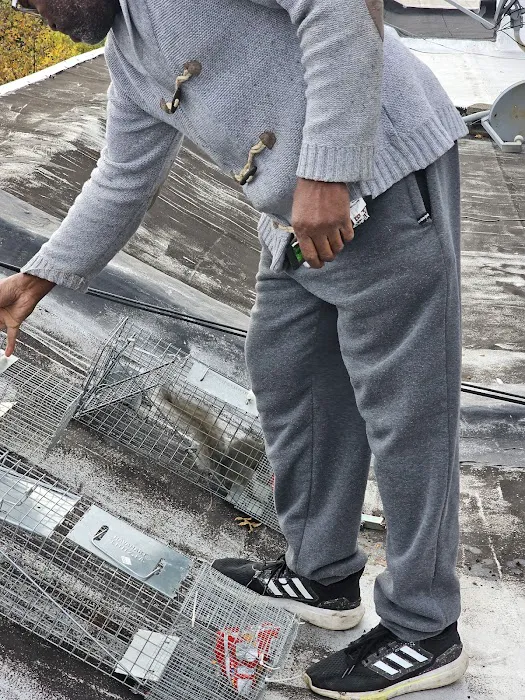 A-List Exterminator Picture 5