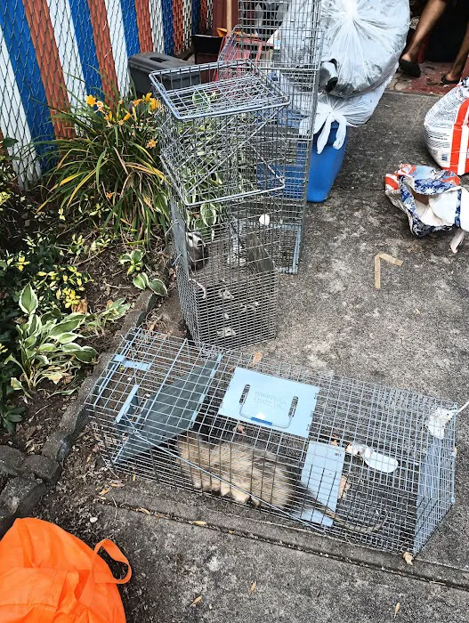 Monster Trapping and Pest Picture 10