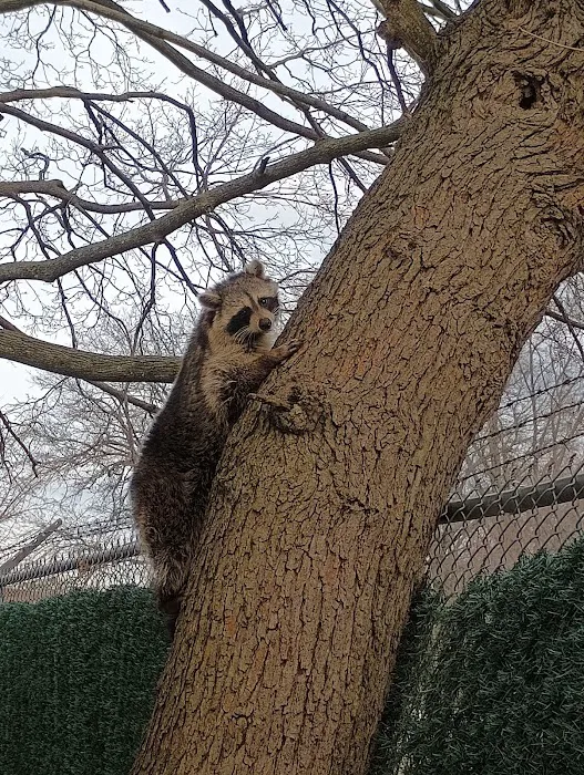 Monster Trapping and Pest Picture 3