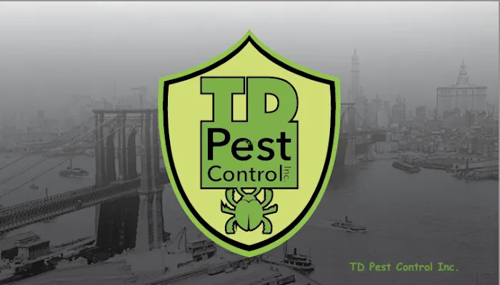 TD Pest Control Inc. Picture 1