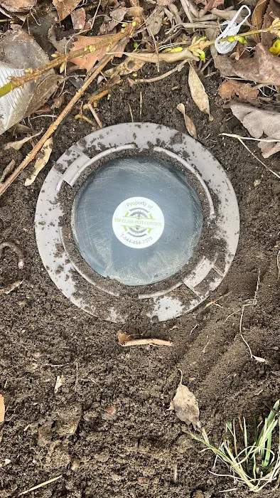 Top class pest control crop Picture 6