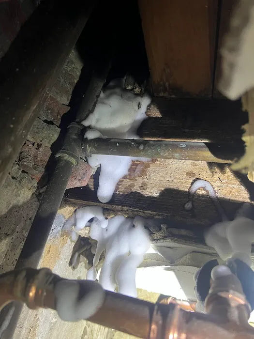 Top class pest control crop Picture 8