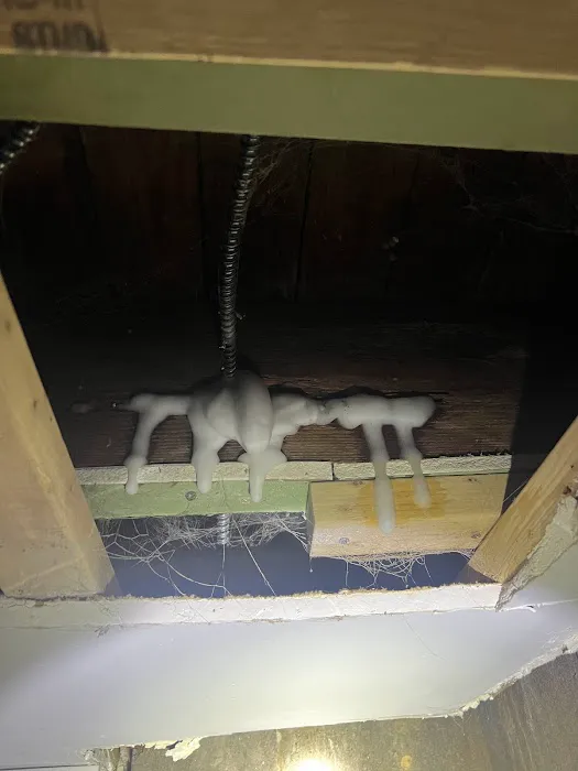 Top class pest control crop Picture 9