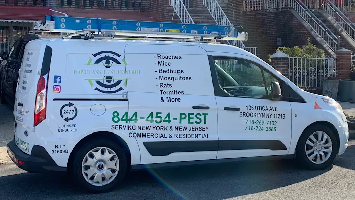 Top class pest control crop Picture 2