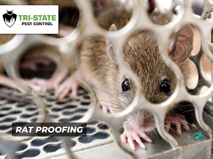 Tri-State Pest Control Picture 7