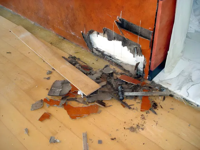 Smart Environmental Pest & Cleaning Services Picture 6