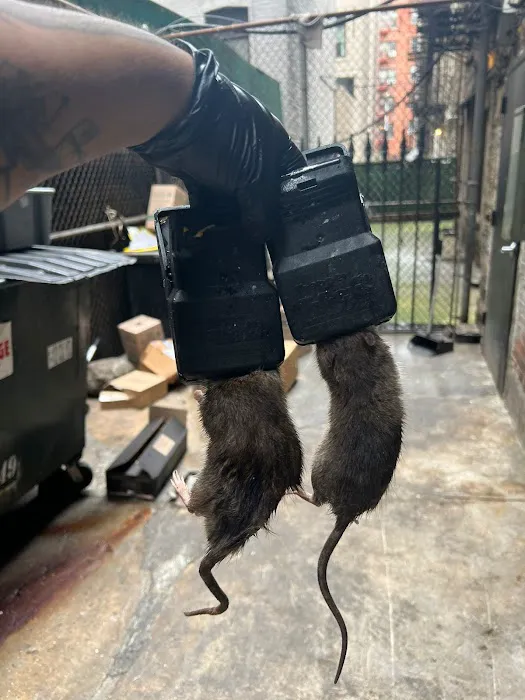 Smart Environmental Pest & Cleaning Services Picture 1