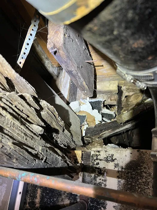 Smart Environmental Pest & Cleaning Services Picture 5