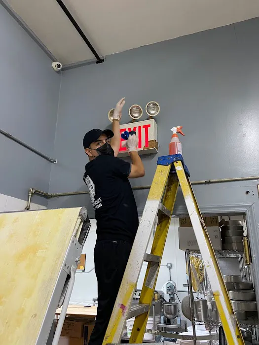 Smart Environmental Pest & Cleaning Services Picture 7