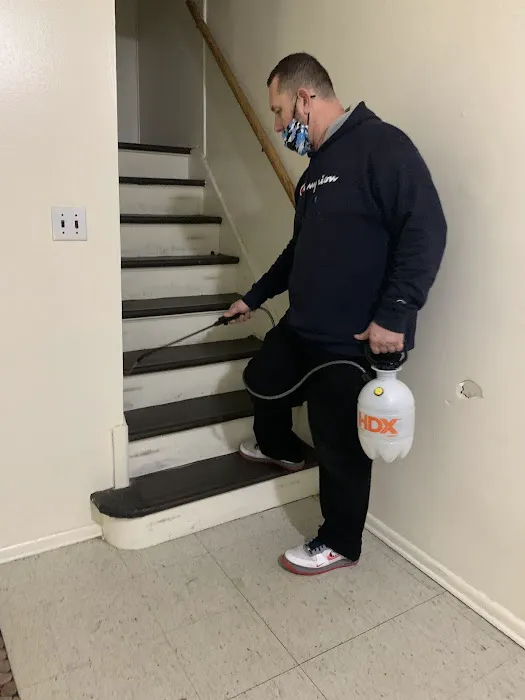 Green Pest Control Service Brooklyn Picture 1