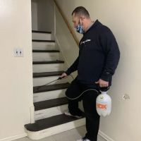 Green Pest Control Service Brooklyn ico