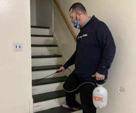 Green Pest Control Service Brooklyn
